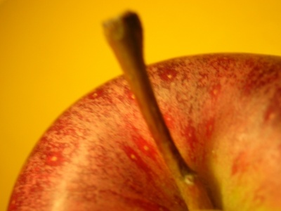  Pamela Drager - Fotolia.com